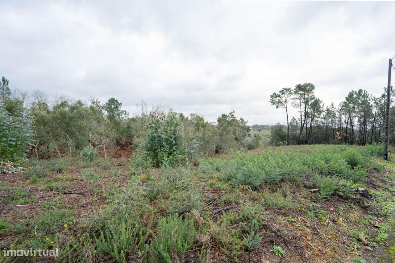 Terreno de 6.600m2 com Potencial de Construção - Vila Nova de Poiares-10