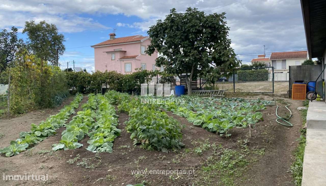 Terreno para construção com 1560 m2, São Martinho de Recezinhos, Pe - Grande imagem: 5/30