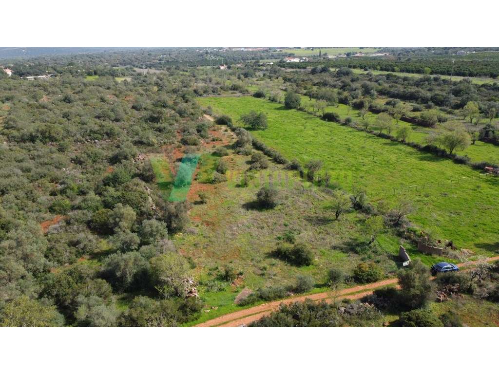 Terreno Rústico em Paderne , Algarve, com Vista Desafogada e Excele...-7