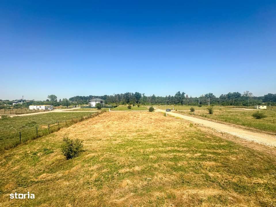 Teren 1116 mp gulia Eden Forest - Imagine principală: 5/5