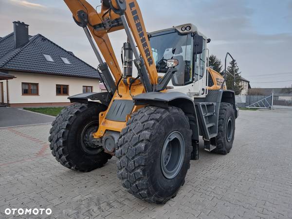 Liebherr L556 Xpower rok 2019 - 13