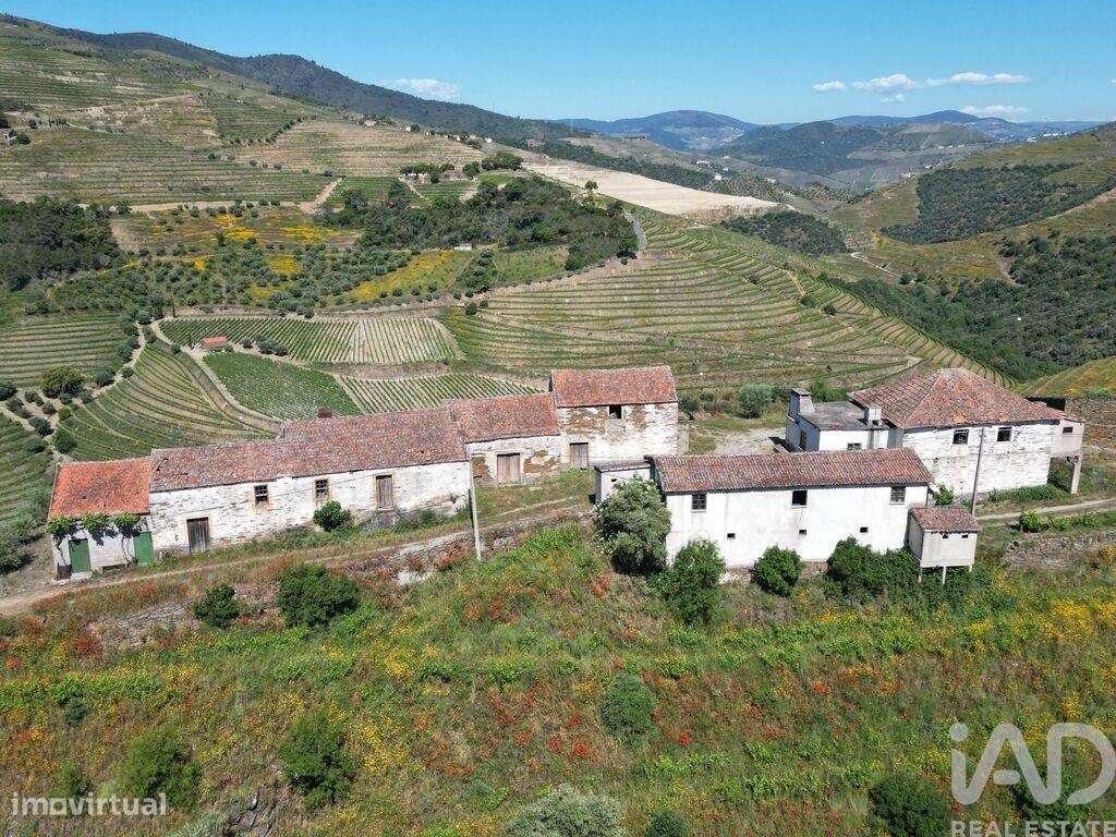 Quinta T2 em Ervedosa do Douro de 830 m2 - Grande imagem: 5/36
