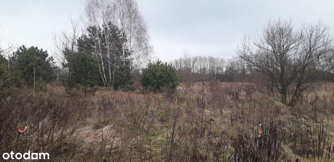 SANTOCKO DZIAŁKA BUDOWLANA 1276 m2-3