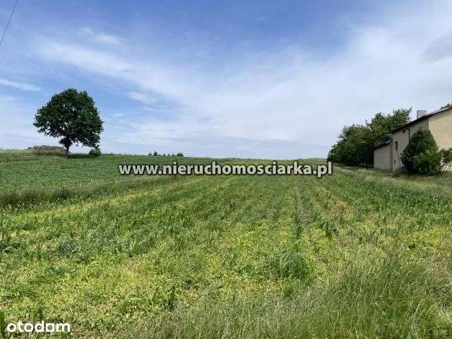 Duża działka budowlana Mszana - Pełny obrazek: 4/5