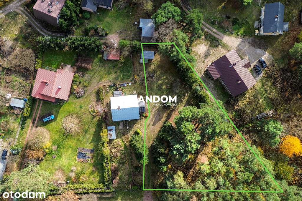 Urokliwa działka z lasem obok rzeki Mienia - Pełny obrazek: 4/8