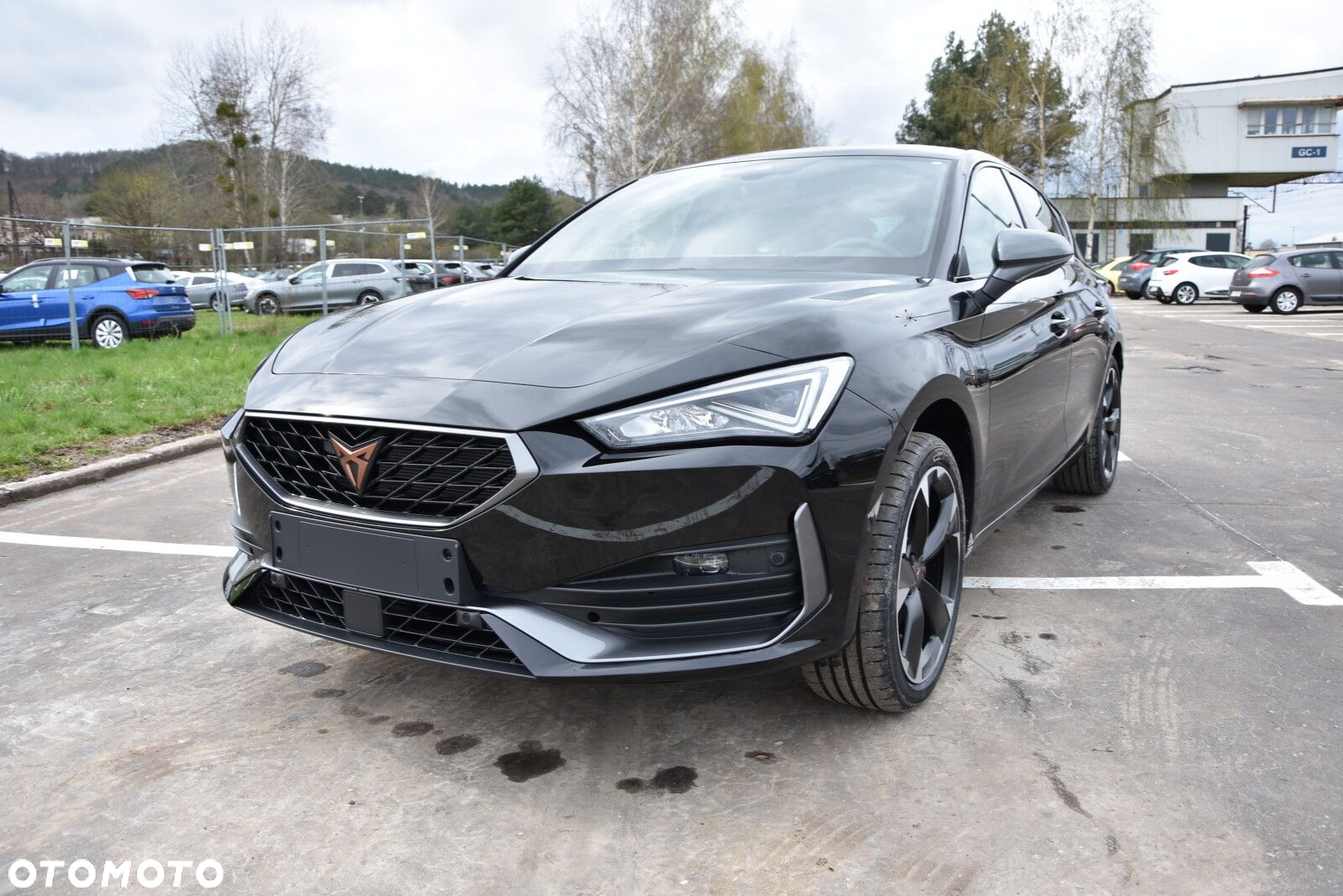 Cupra Leon 2.0 TSI DSG - 2