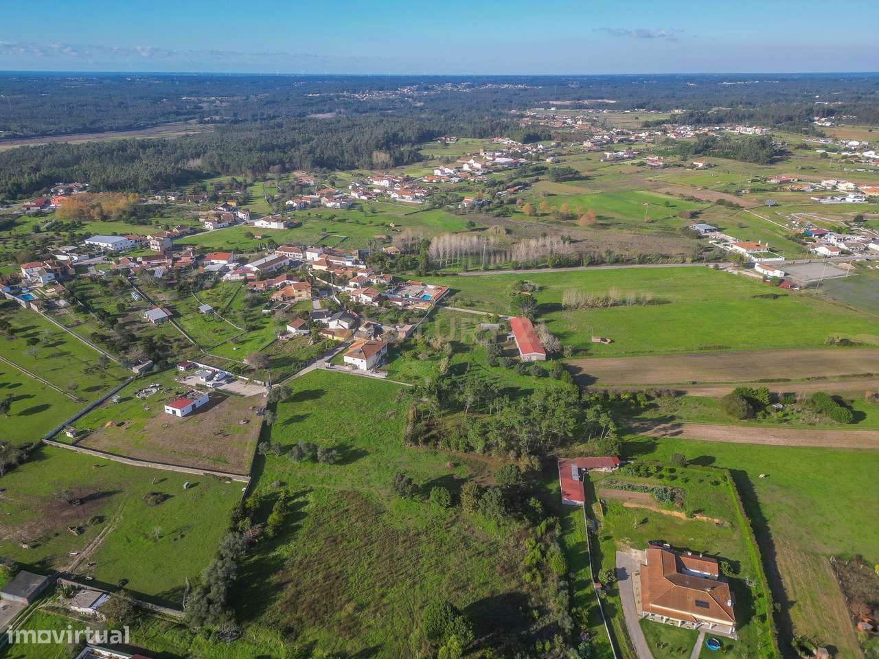 Terreno Agrícola em Montemor o Velho - Oportunidade Única-11