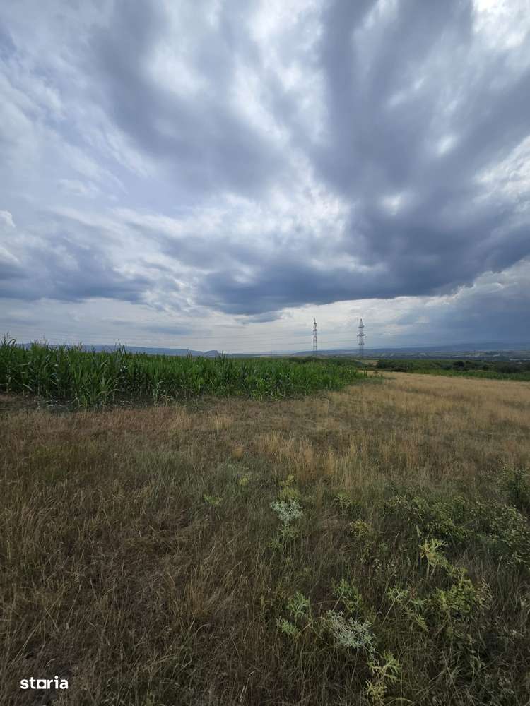 Teren extravilan Cristur Deva. - Imagine principală: 2/3