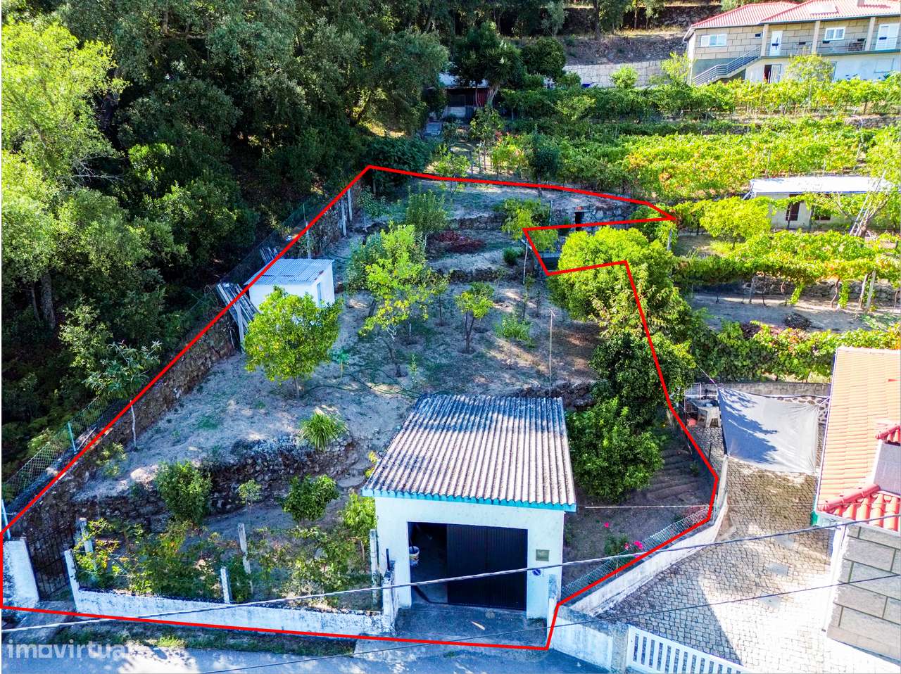 Terreno  Venda em Santa Cruz do Douro e São Tomé de Covelas,Baião - Grande imagem: 4/13