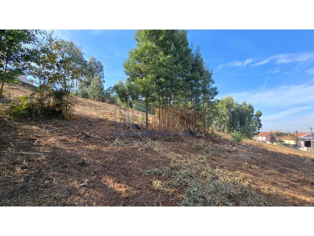 Oportunidade de Investimento: Projeto em curso para 36 Apartamentos... - Grande imagem: 3/24