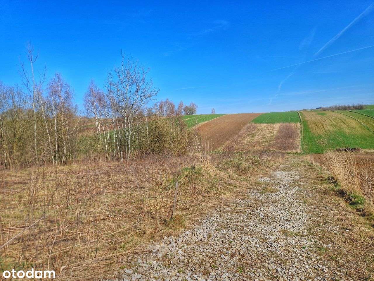 Cianowice, budowlana, 12 ar, pozwolenie na budowe-2