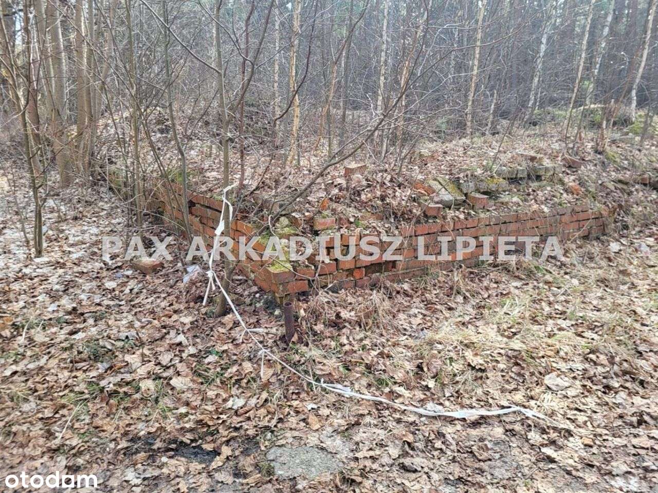Działka, 4 025 m², Boruszowice-3