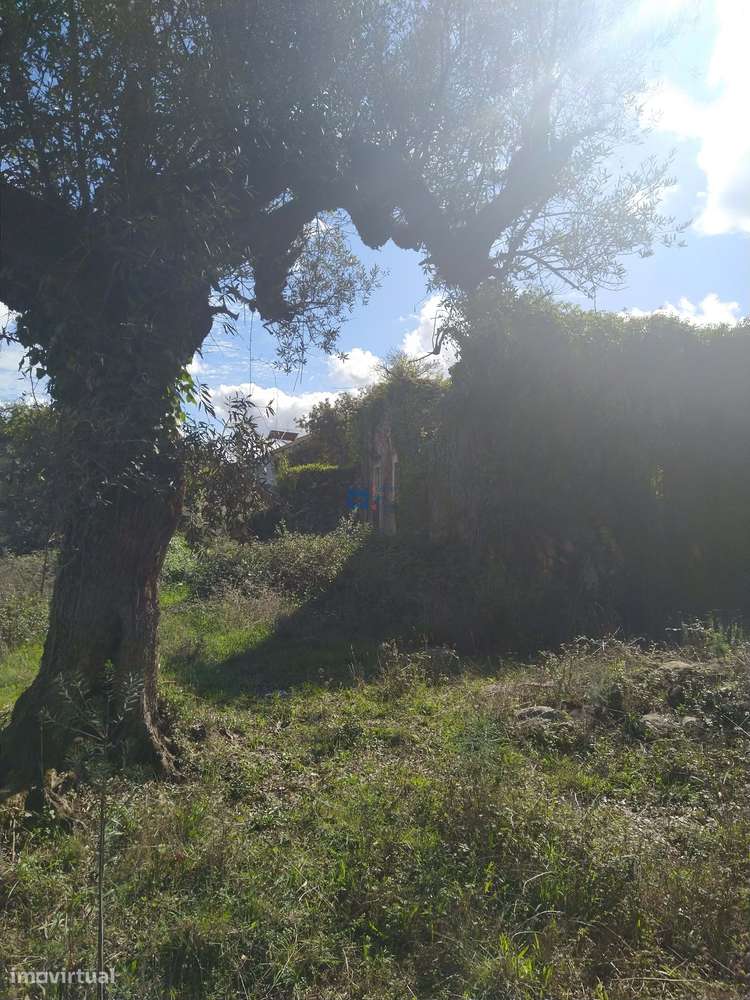 Terreno  em Fátima no lugar de Boleiros-7