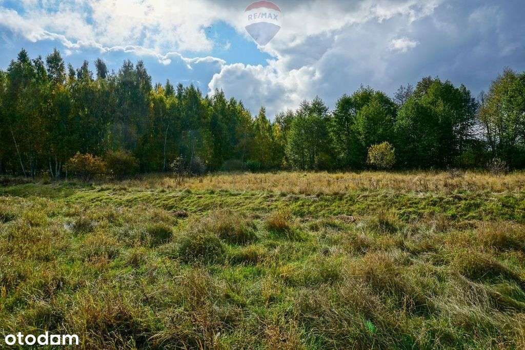 Działka budowlana 1459m2, Henryszew, gm. Jaktorów - Pełny obrazek: 4/9