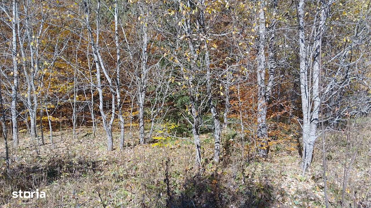 Alfa invest propune teren de vanzare in Paraul Rece - Imagine principală: 4/4