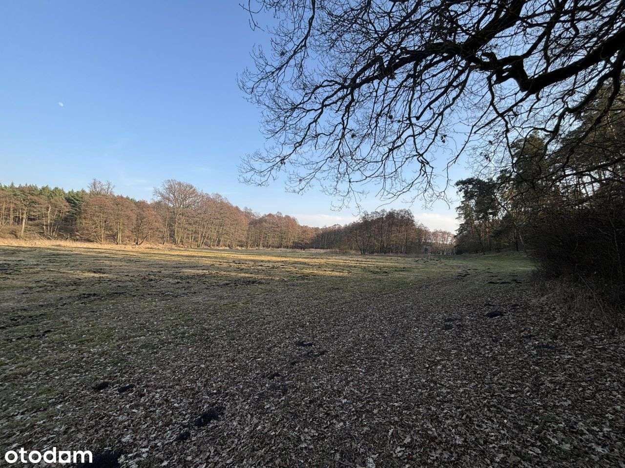 Działka, 15 300 m², Bielsko - Pełny obrazek: 4/12