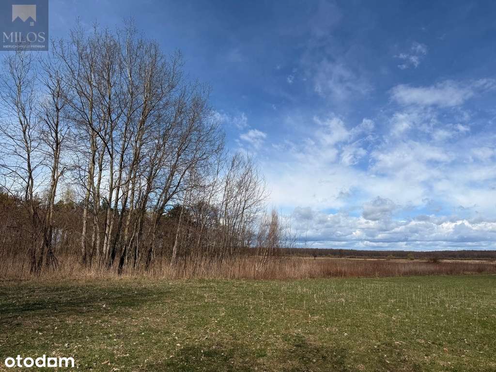 Duża, szeroka działka z WZ. Okazja inwestycyjna! - Pełny obrazek: 2/7