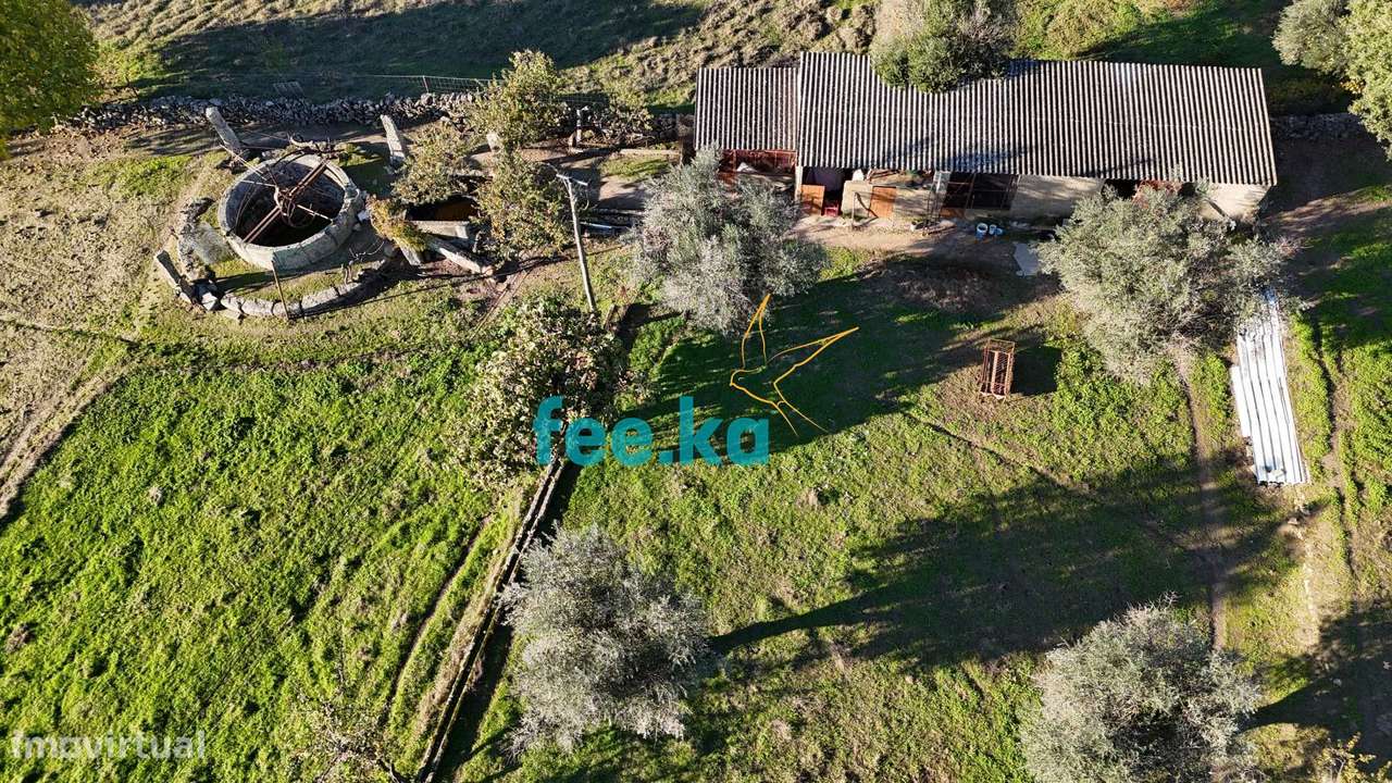 Quinta em Escalos de Baixo-31