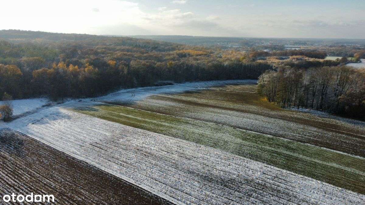Działka Inwestycyjna/mpzp - Mn/ Okolice Obornik ŚL - Pełny obrazek: 5/13