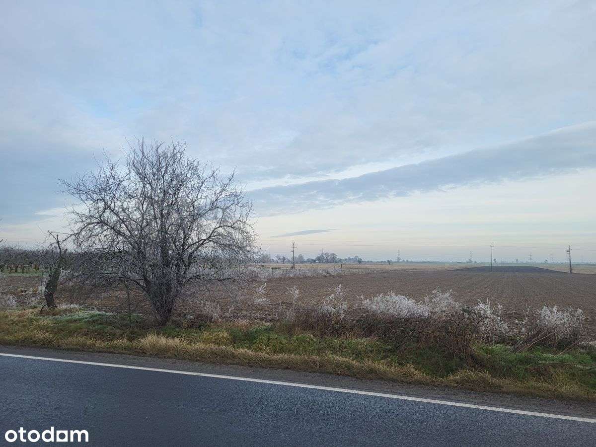 Działka w Dziećmierowie - Pełny obrazek: 4/7