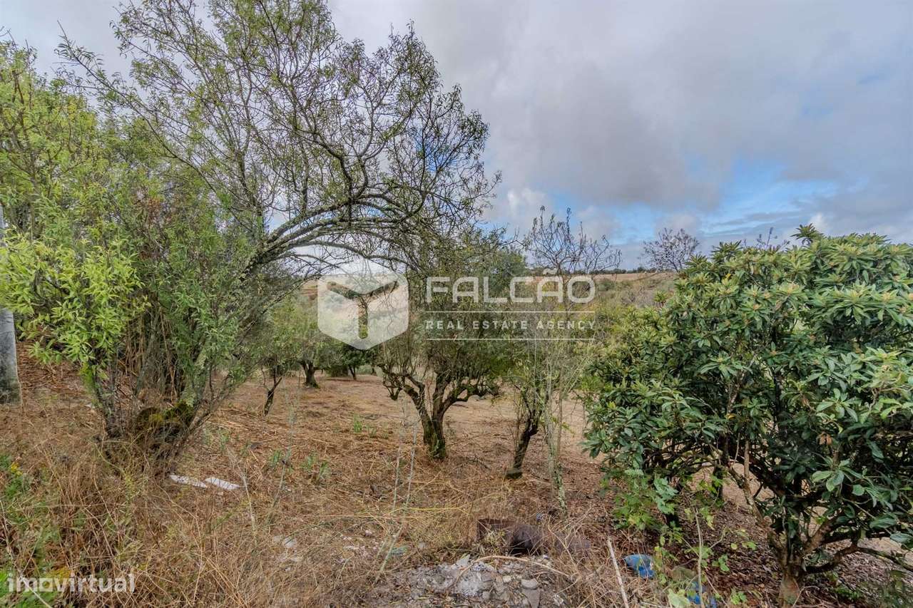 Moradia para Restaurar T2+2 Venda em Casével e Vaqueiros,Santarém-44