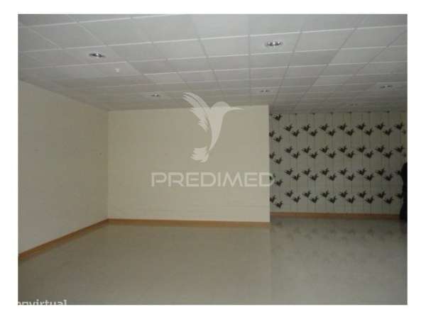 Loja destinada a comércio grossista, Albergaria-a-Velha - Grande imagem: 5/7