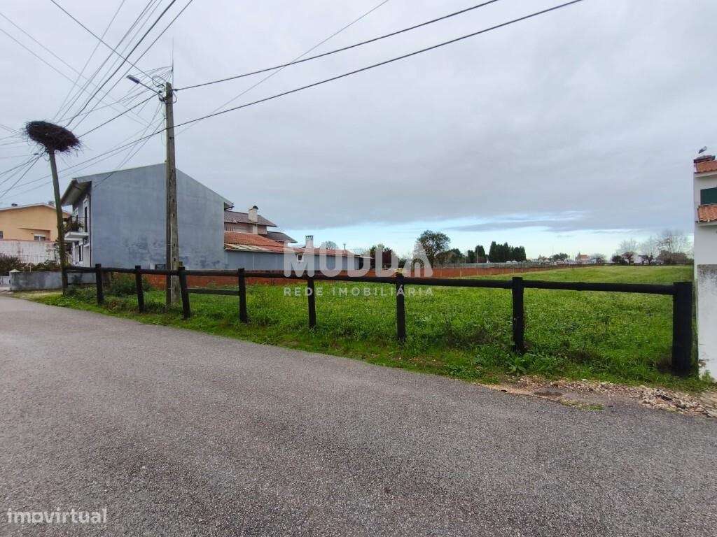 Terreno urbano destinado a construção, situado em  Eixo - Grande imagem: 4/8