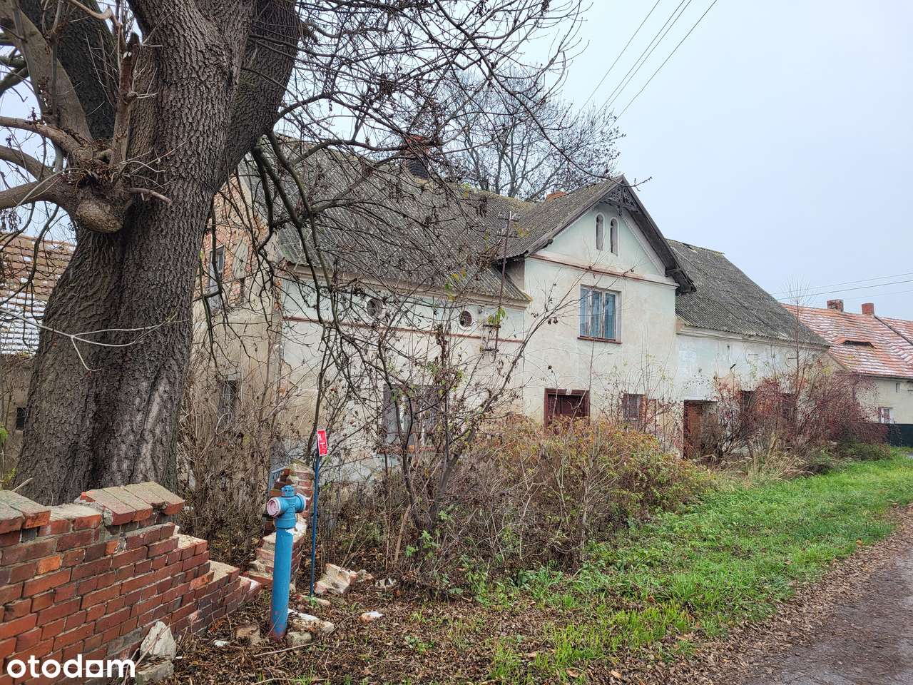 Budynek mieszkalny , budynki gospodarcze | Działka 3514 m2 | Piersno - Pełny obrazek: 4/8