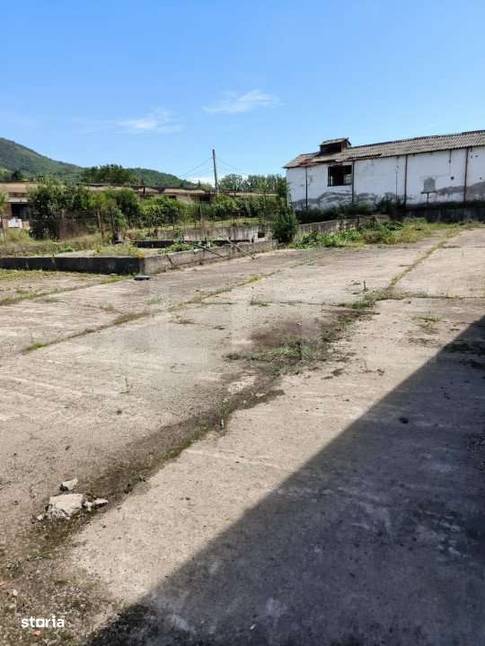 Hala industriala de vanzare Șimleul Silvaniei - Imagine principală: 2/4