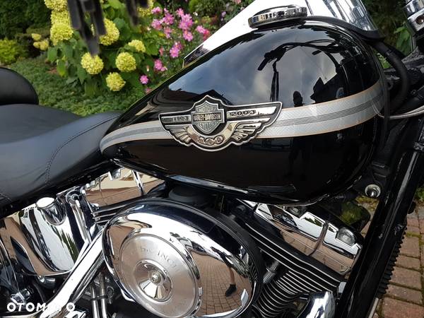 Harley-Davidson Softail Heritage Classic - 11