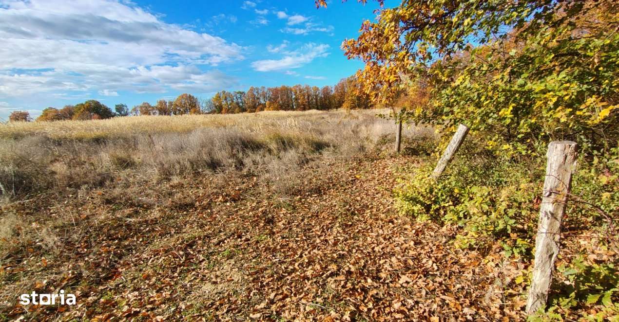 Terenuri intrevilane Comuna Mosoaia - Imagine principală: 2/10