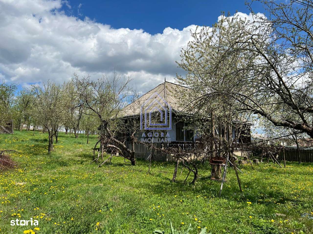 48 ari teren , cu casa batraneasca, Antoceni, Forasti, Suceava - Imagine principală: 1/9