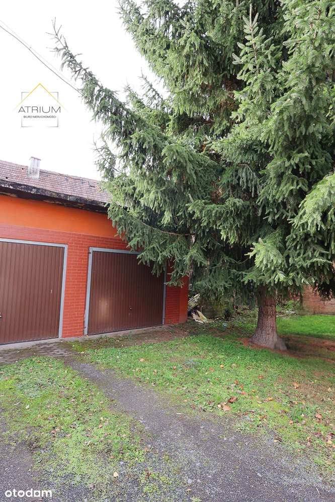 Duże mieszkanie Nowy Kościół | ogród - osobna działka na własność-13