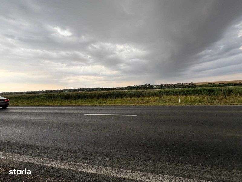 Teren intravilan 3926mp cu deschidere la DN25 Branistea - Imagine principală: 5/7