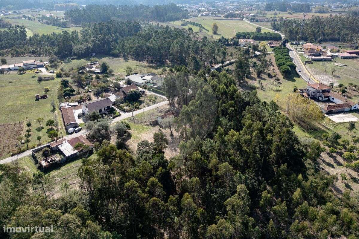 Terreno  para venda - Grande imagem: 4/4