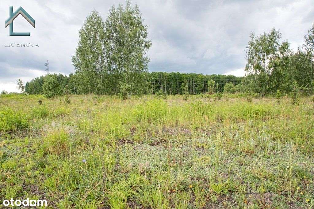 Działka przy ul. Ceglanej w Nowodworcach, Wz-4