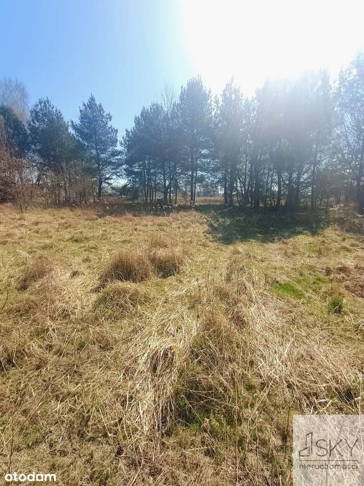 Piękna działka siedliskowa 10 min od Wrocławia - Pełny obrazek: 4/6