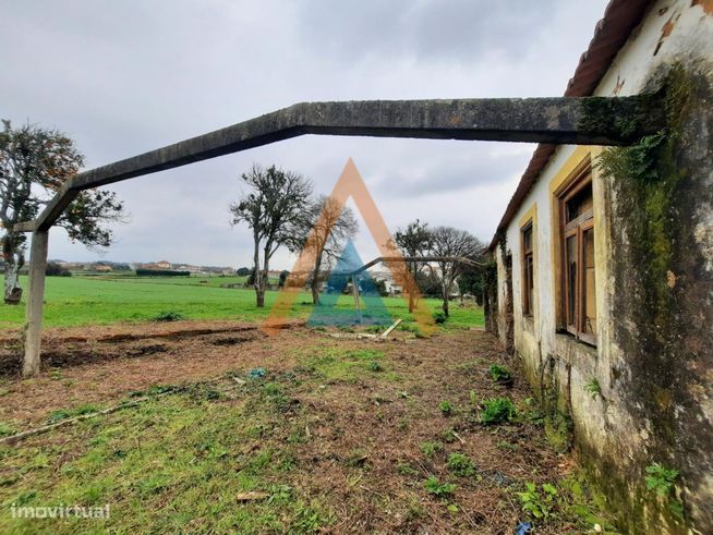 Quinta em Válega - Ovar-1