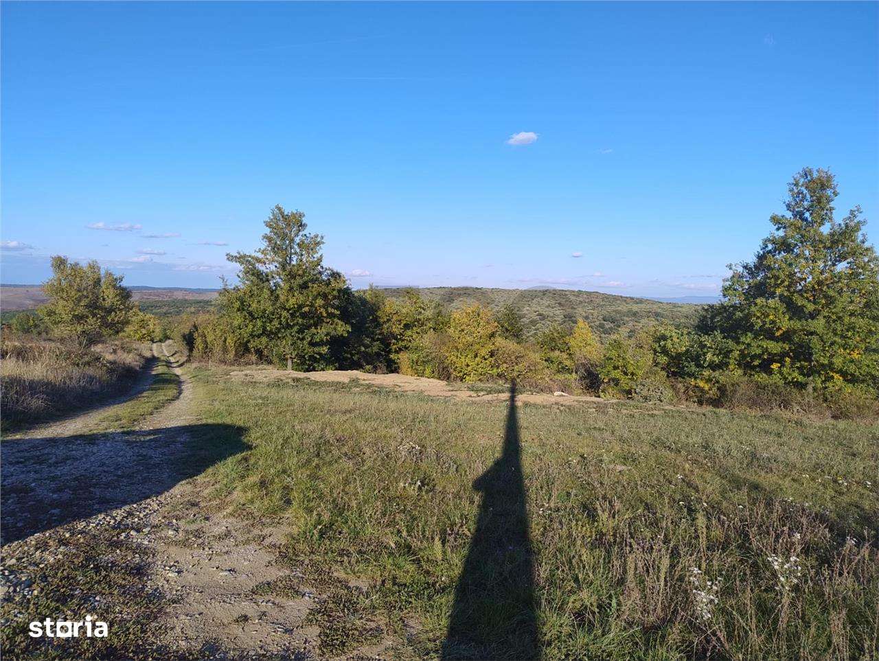 PECO Teren intravilan Saldabagiu De Munte - Imagine principală: 5/5