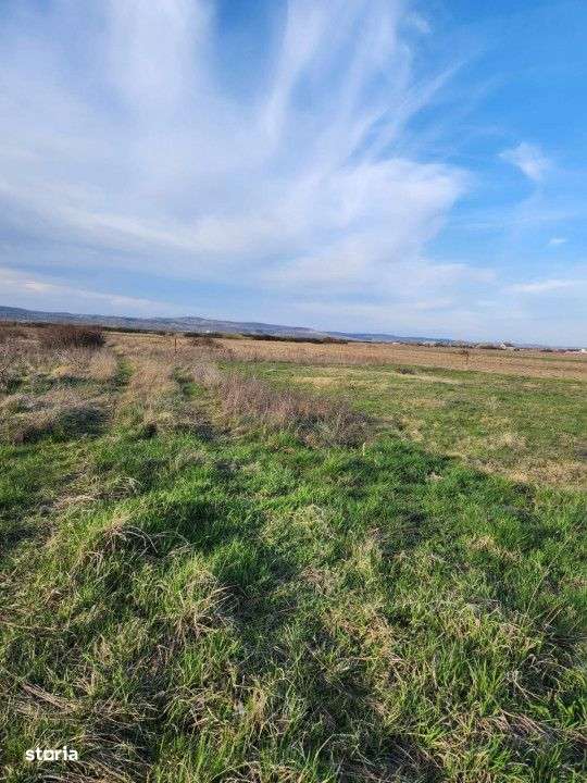 De vanzare TEREN - Imagine principală: 2/4