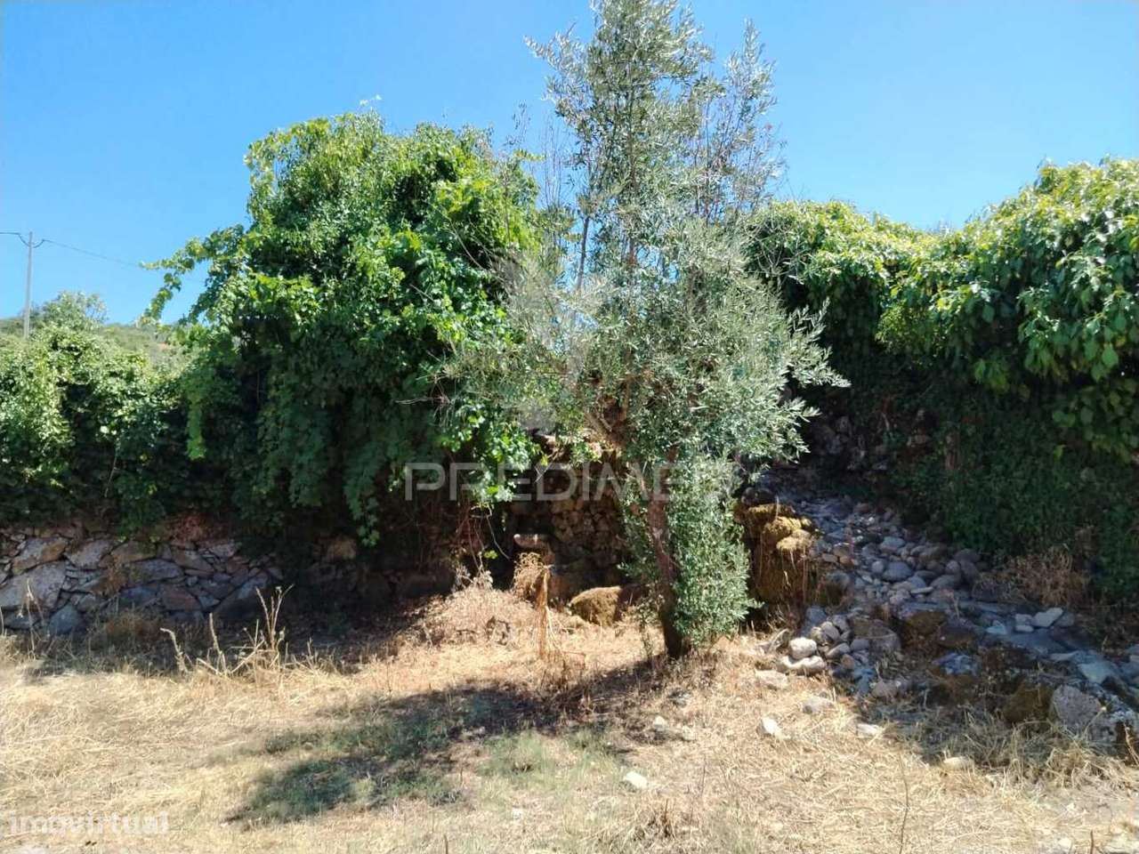 Terreno - Grande imagem: 3/4