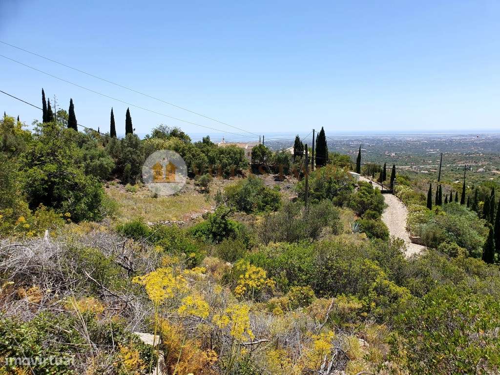 Terreno com vista mar - Grande imagem: 3/6