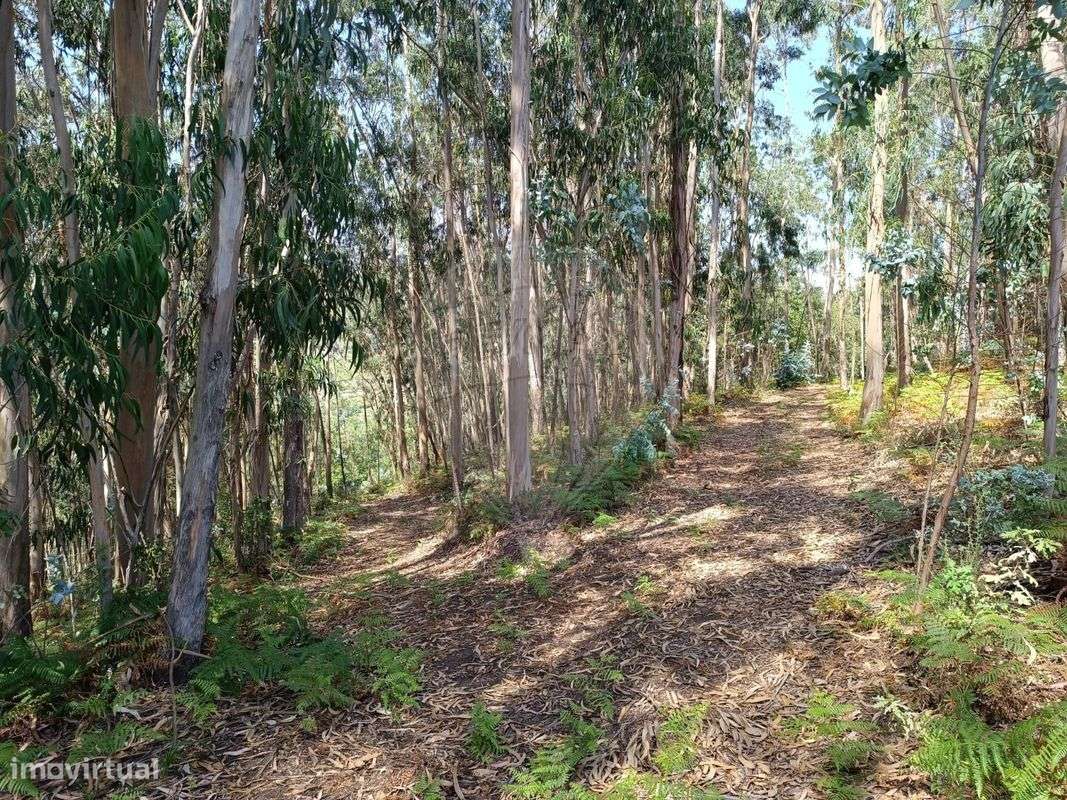 Terreno  para venda - Grande imagem: 4/25