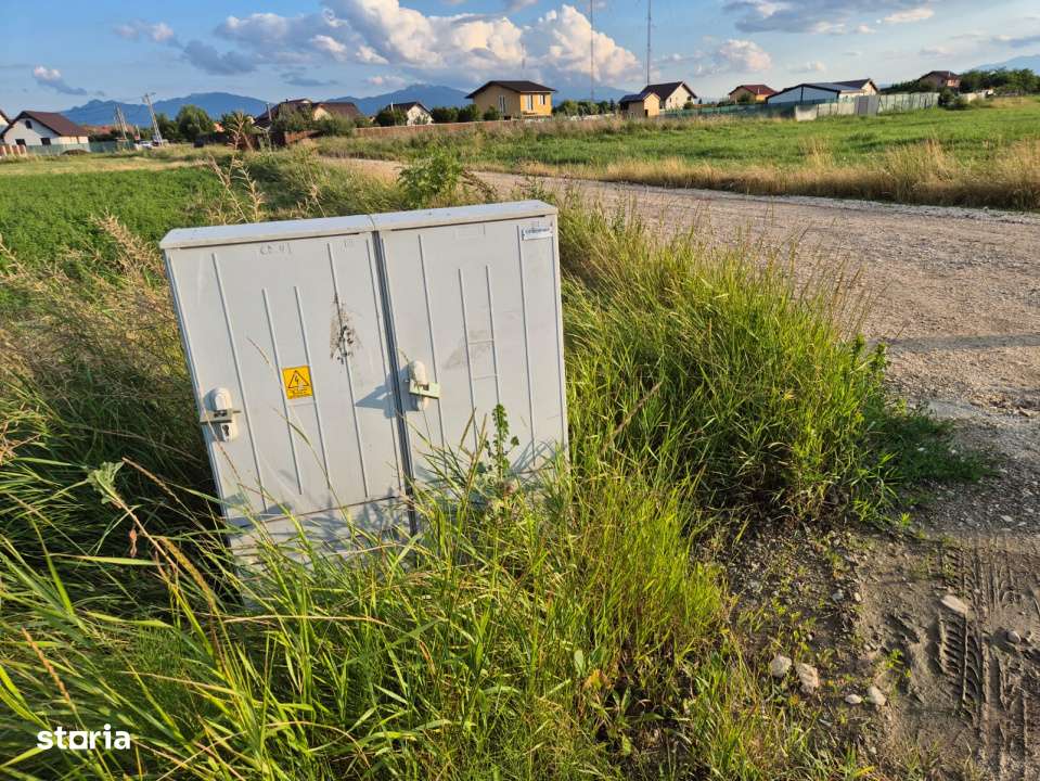 Teren 10.000 mp str. Lalelelor, Bod, Brasov pentru case - Imagine principală: 5/5