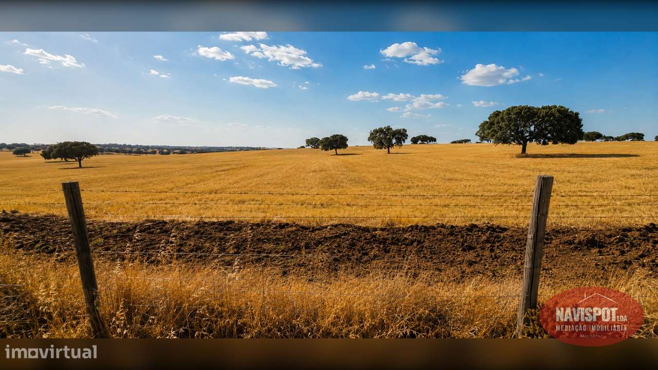 Herdade com 750 hectares no Alentejo-21