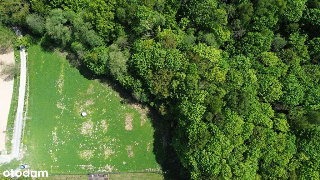 Atrakcyjna działka widokowa z lasem-6