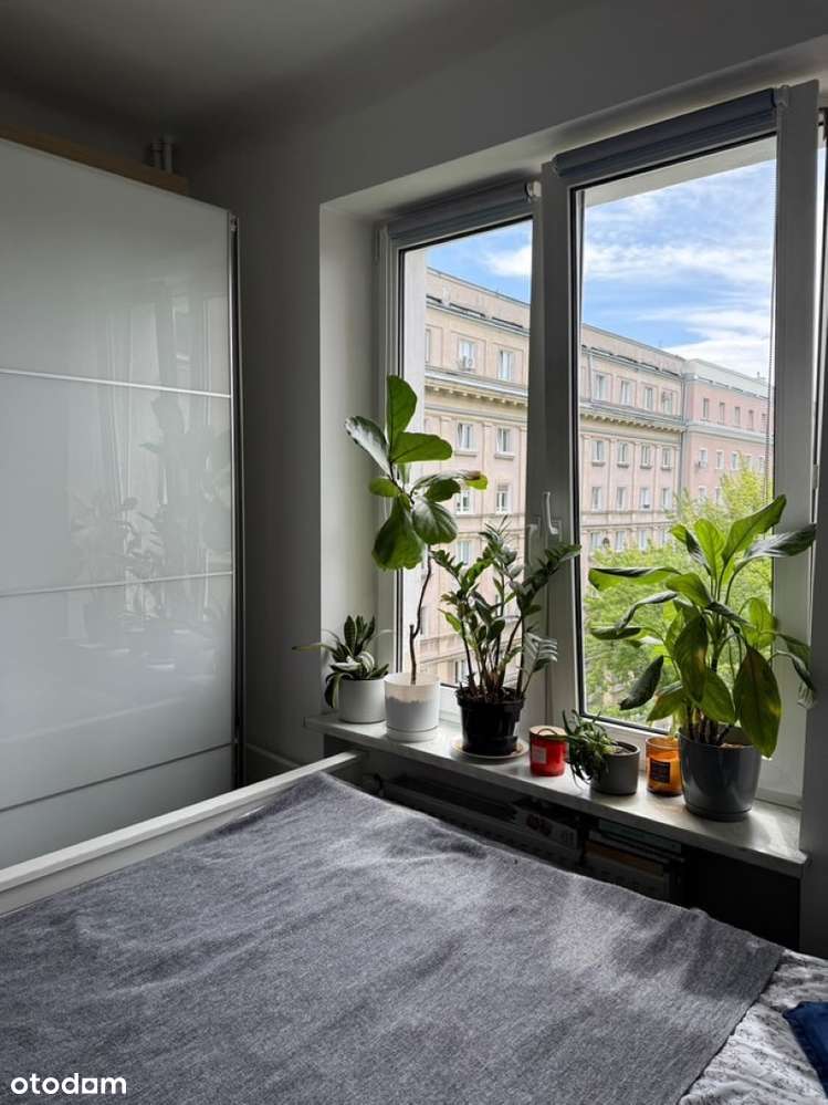 Muranów, 2 pokoje: niski czynsz, zieleń, blisko Starego Miasta i metra - Pełny obrazek: 5/12