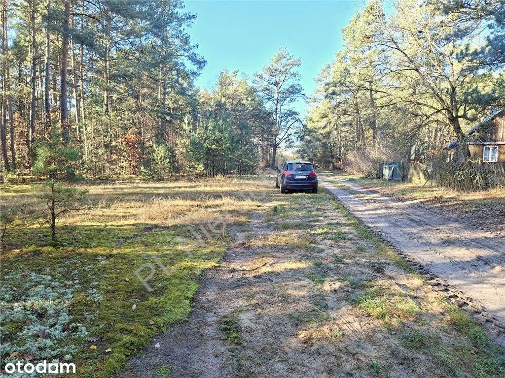 Działka leśna w malowniczym miejscu - Pełny obrazek: 4/12