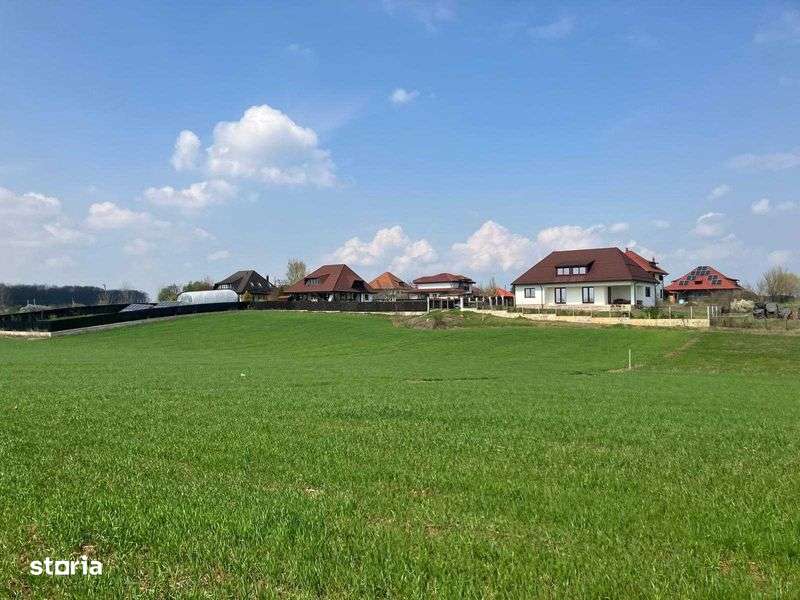 Teren intravilan Balteni, Scrovistea - langa Satul Brancovenesc - Imagine principală: 4/5