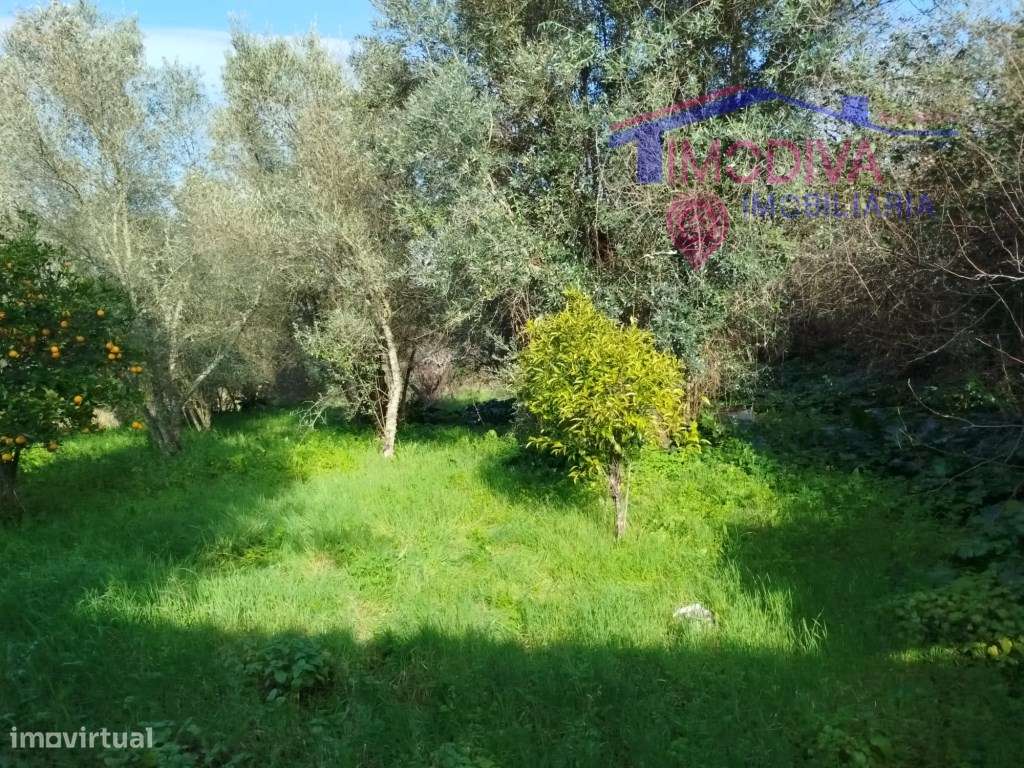 Moradia T2 com arrecadações, garagem e quintal em Constância-32